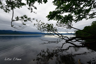 DSC_6437.jpg