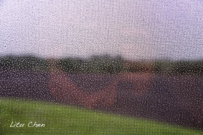 DSC_6536.jpg