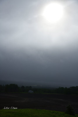 DSC_6548.jpg