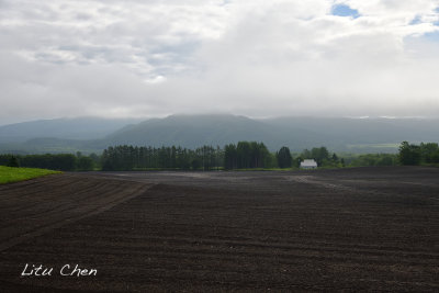 DSC_6579.jpg
