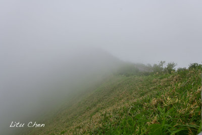 DSC_6679.jpg
