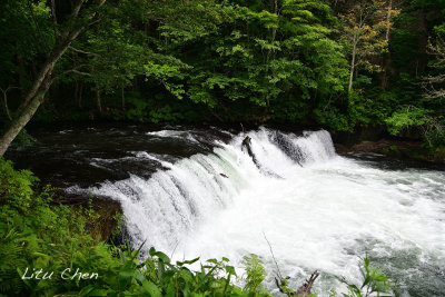 DSC_6909.jpg