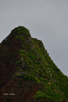 DSC_7287.jpg