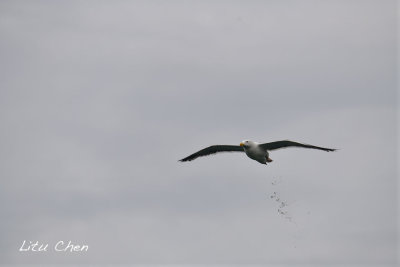 DSC_7296.jpg