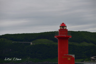 DSC_7298.jpg