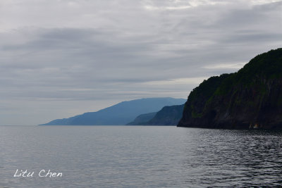 DSC_7320.jpg