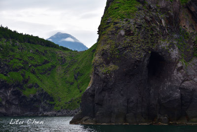 DSC_7338.jpg