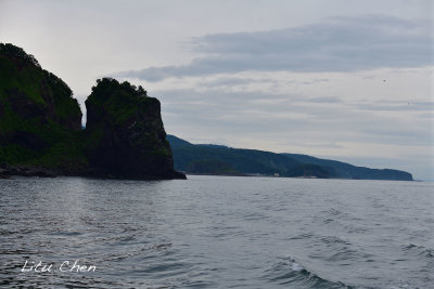 DSC_7341.jpg