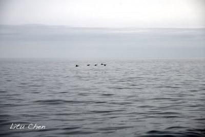 DSC_7554.jpg