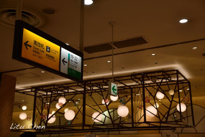 DSC_8038.jpg