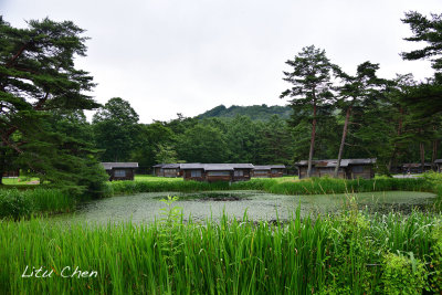 DSC_8088.jpg