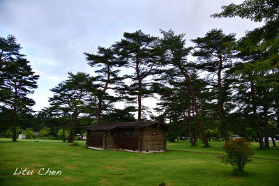 DSC_8098.jpg