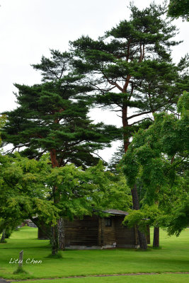 DSC_8103.jpg