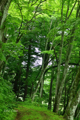 DSC_8115.jpg