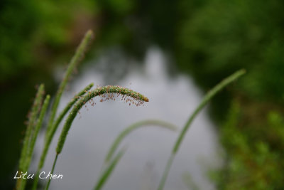 DSC_8149.jpg