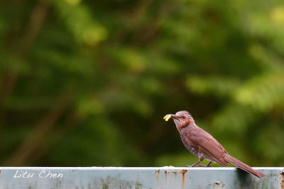 DSC_8179.jpg