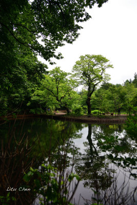 DSC_8215.jpg