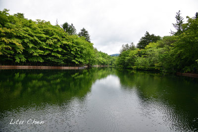 DSC_8217.jpg