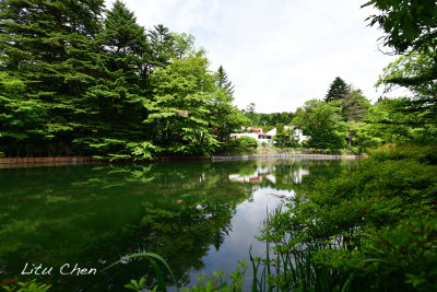 DSC_8237.jpg
