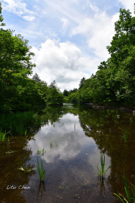 DSC_8251.jpg