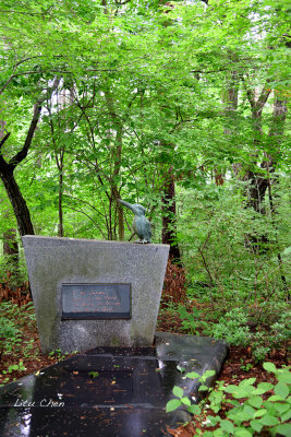 DSC_8458.jpg