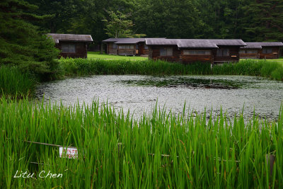DSC_8505.jpg