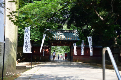 DSC_8952.jpg