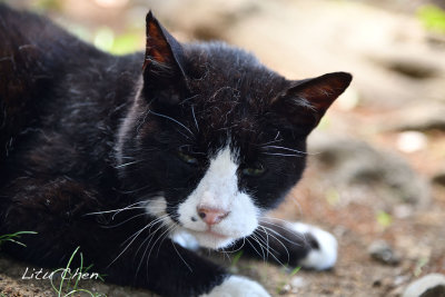 DSC_9048.jpg
