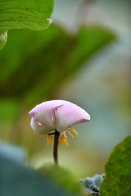 dsc_8321.jpg