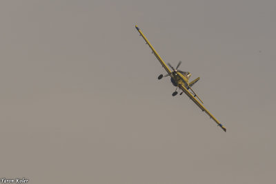 DSC03566.jpg