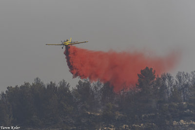 Fire at Ben-Shemen forst