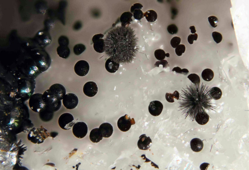 Goethite