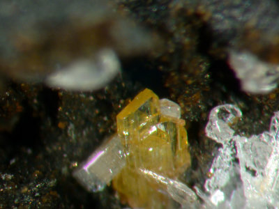 Nealite