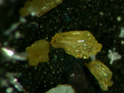 Nealite