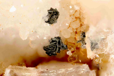 Delafossite 