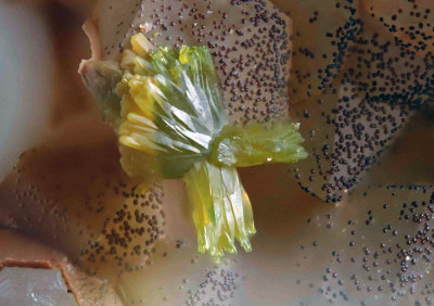 Mimetisite and goethite