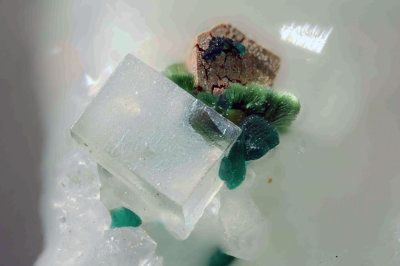 Fluorite - Agardite - Arsenopyrite