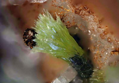 Mimetesite