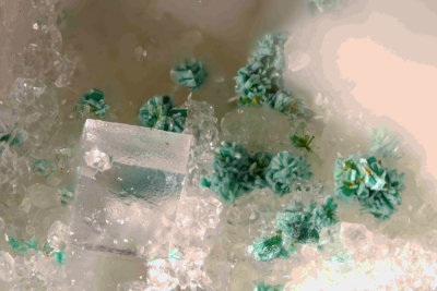Fluorite - Olivenite and Agardite