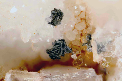 Delafossite