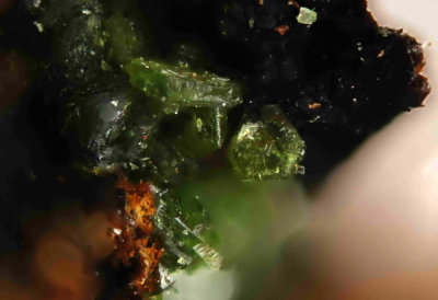 Segnitite
