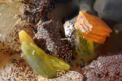 Meta-Novacekite and Mimetesite 