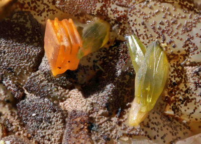 Meta-Novacekite and Mimetesite