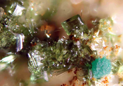Olivenite and blue/green?