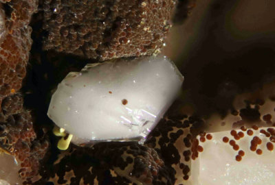Milky crystal with yellow Bastnasiet