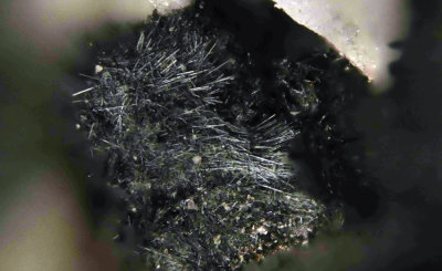 Rankachite