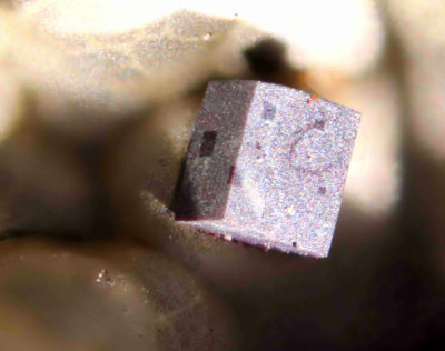 Chlorargyrite