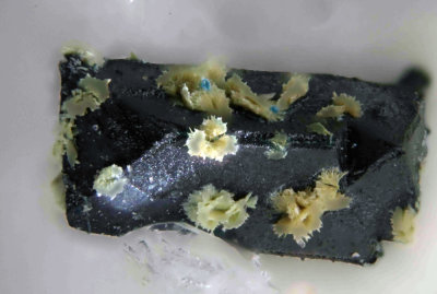 Chalcopyrite and?