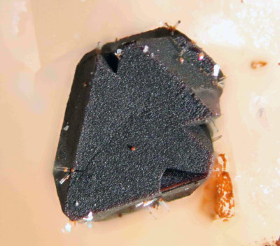 Chalcopirite with small Olivenite