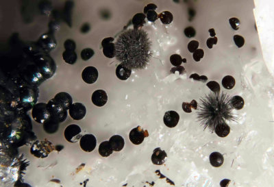 Goethite